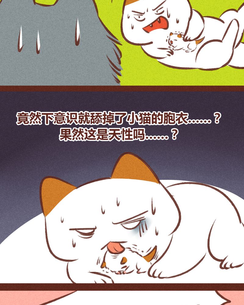 《神兽退散》漫画最新章节第63章：免费下拉式在线观看章节第【13】张图片