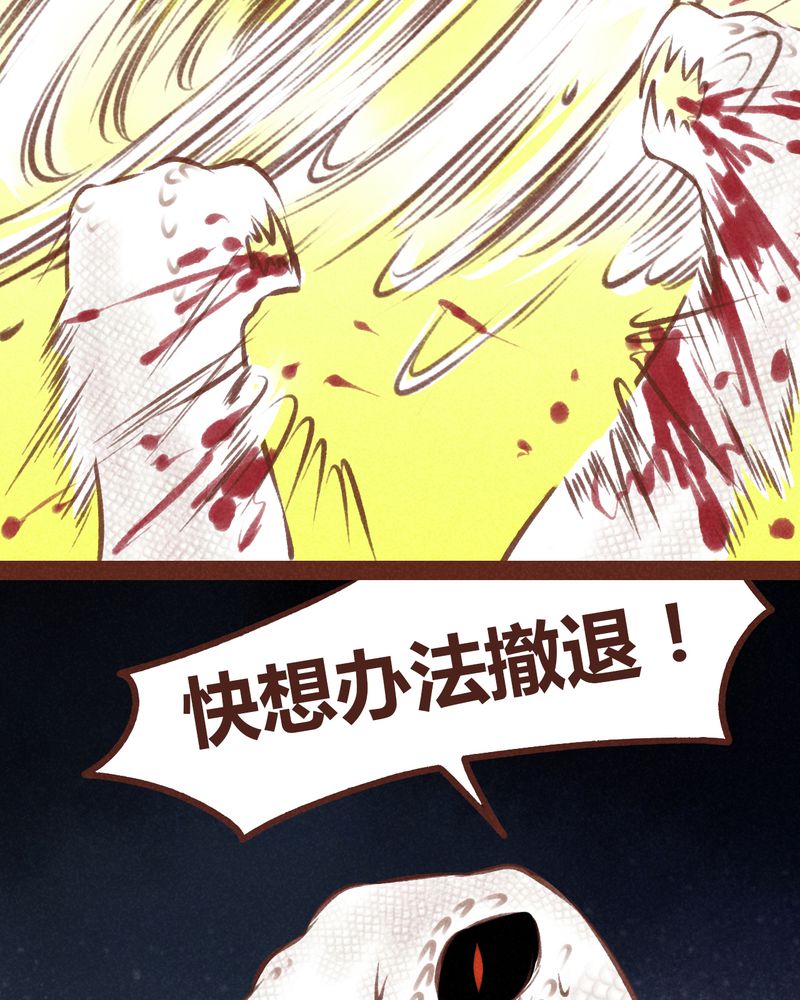 《神兽退散》漫画最新章节第66章：免费下拉式在线观看章节第【12】张图片