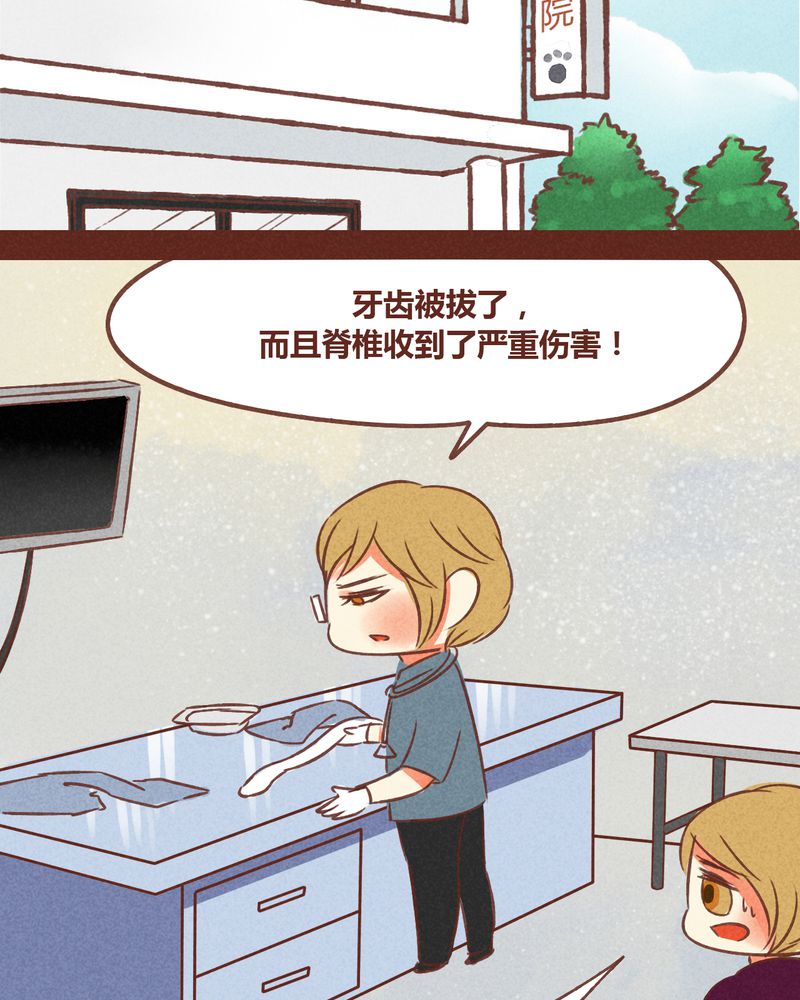 《神兽退散》漫画最新章节第72章：免费下拉式在线观看章节第【36】张图片