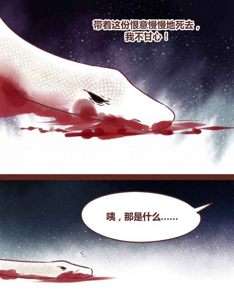 《神兽退散》漫画最新章节第72章：免费下拉式在线观看章节第【41】张图片