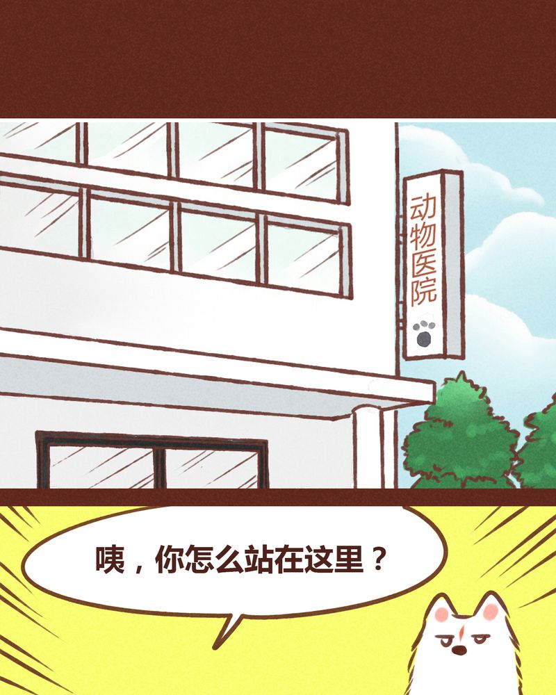 《神兽退散》漫画最新章节第74章：免费下拉式在线观看章节第【21】张图片