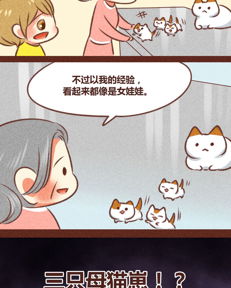 《神兽退散》漫画最新章节第78章：免费下拉式在线观看章节第【42】张图片