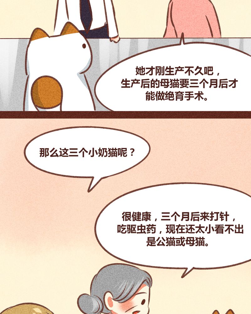 《神兽退散》漫画最新章节第78章：免费下拉式在线观看章节第【43】张图片