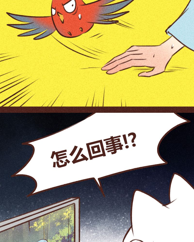 《神兽退散》漫画最新章节第95章：免费下拉式在线观看章节第【79】张图片