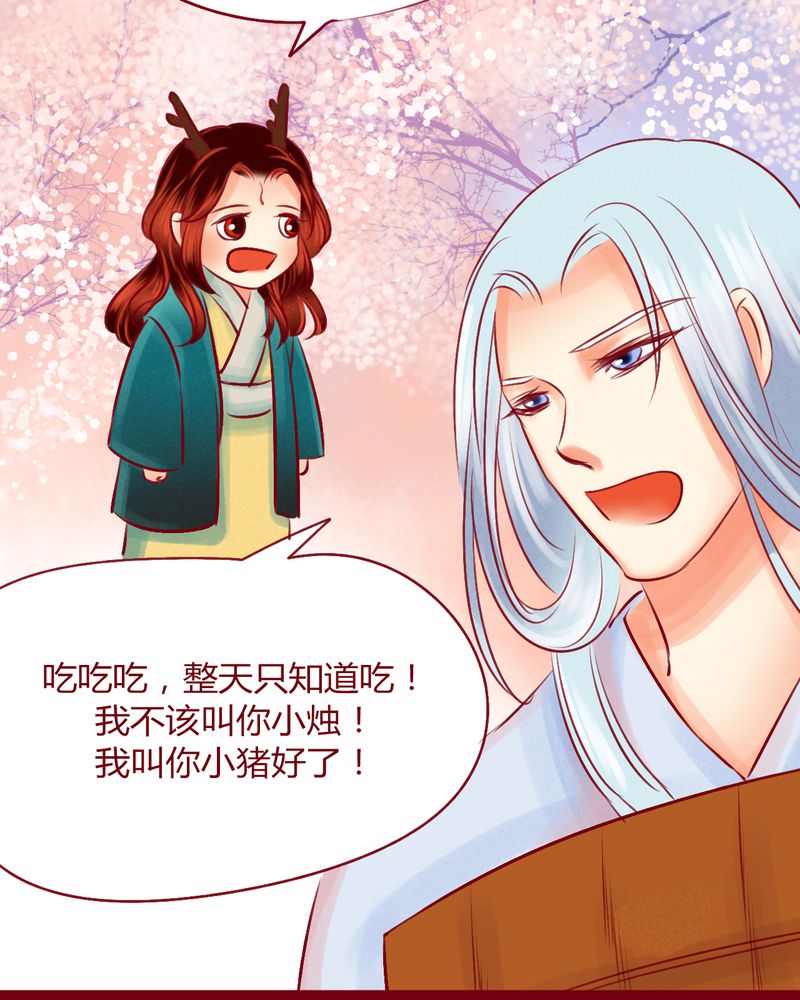 《神兽退散》漫画最新章节第114章：免费下拉式在线观看章节第【51】张图片