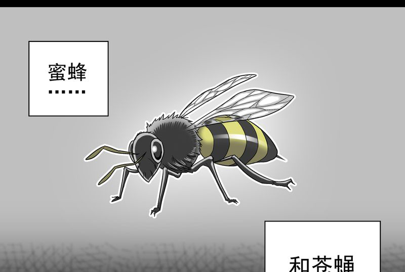 《高陵先生》漫画最新章节第3章：蜂女上免费下拉式在线观看章节第【36】张图片