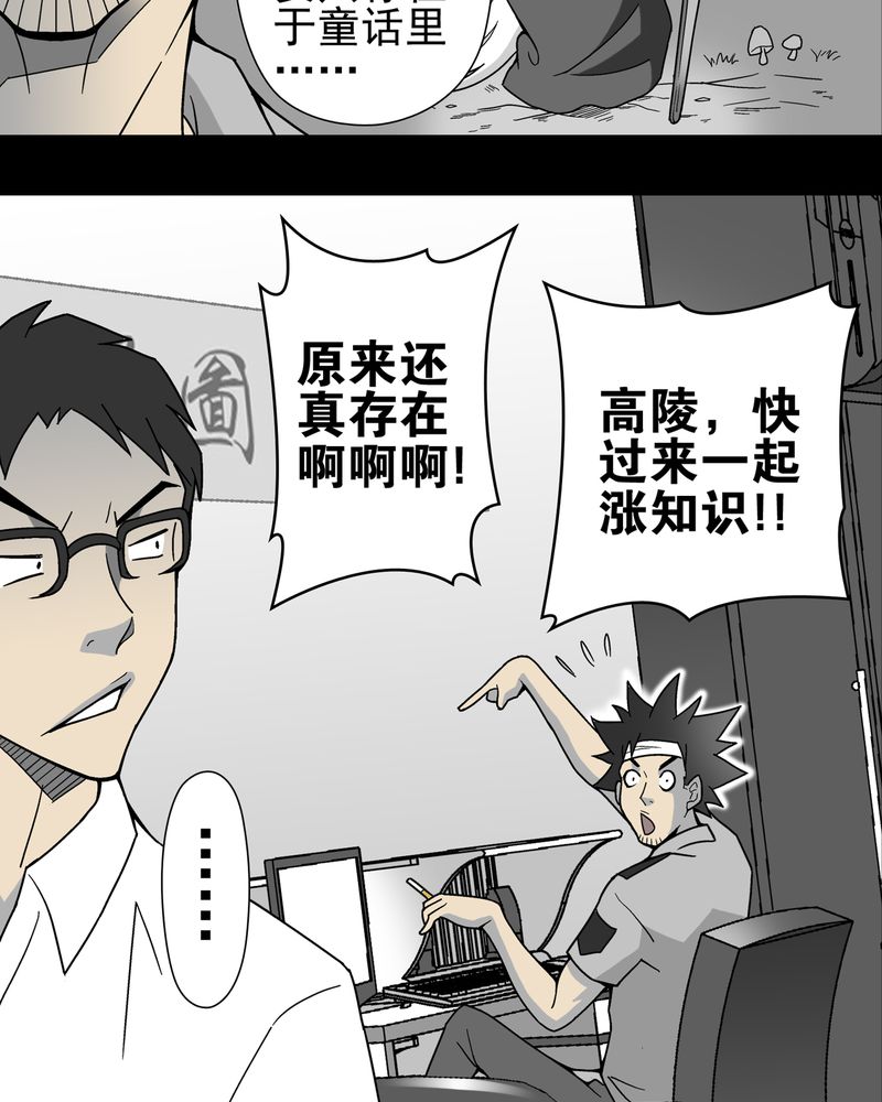 《高陵先生》漫画最新章节第14章：黑暗前的黎明免费下拉式在线观看章节第【24】张图片