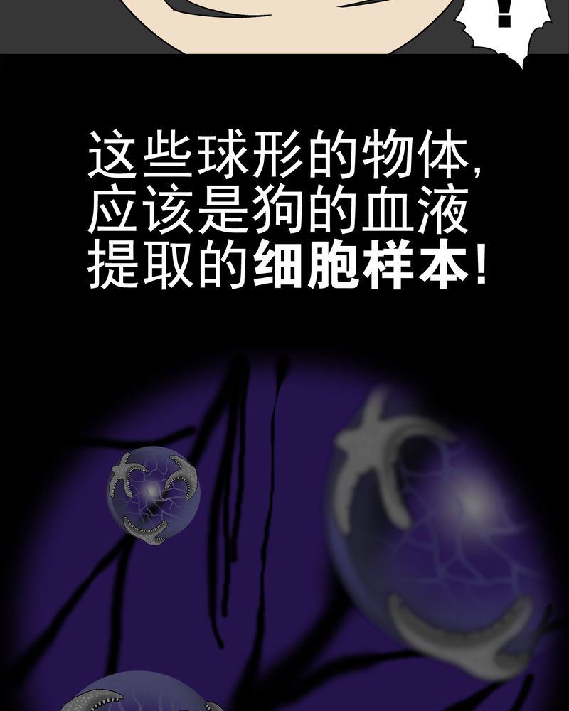 《高陵先生》漫画最新章节第15章：狗血免费下拉式在线观看章节第【5】张图片