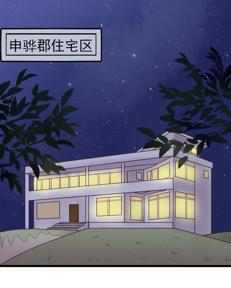 《试婚99天》漫画最新章节第5章：叶家状况不好免费下拉式在线观看章节第【28】张图片