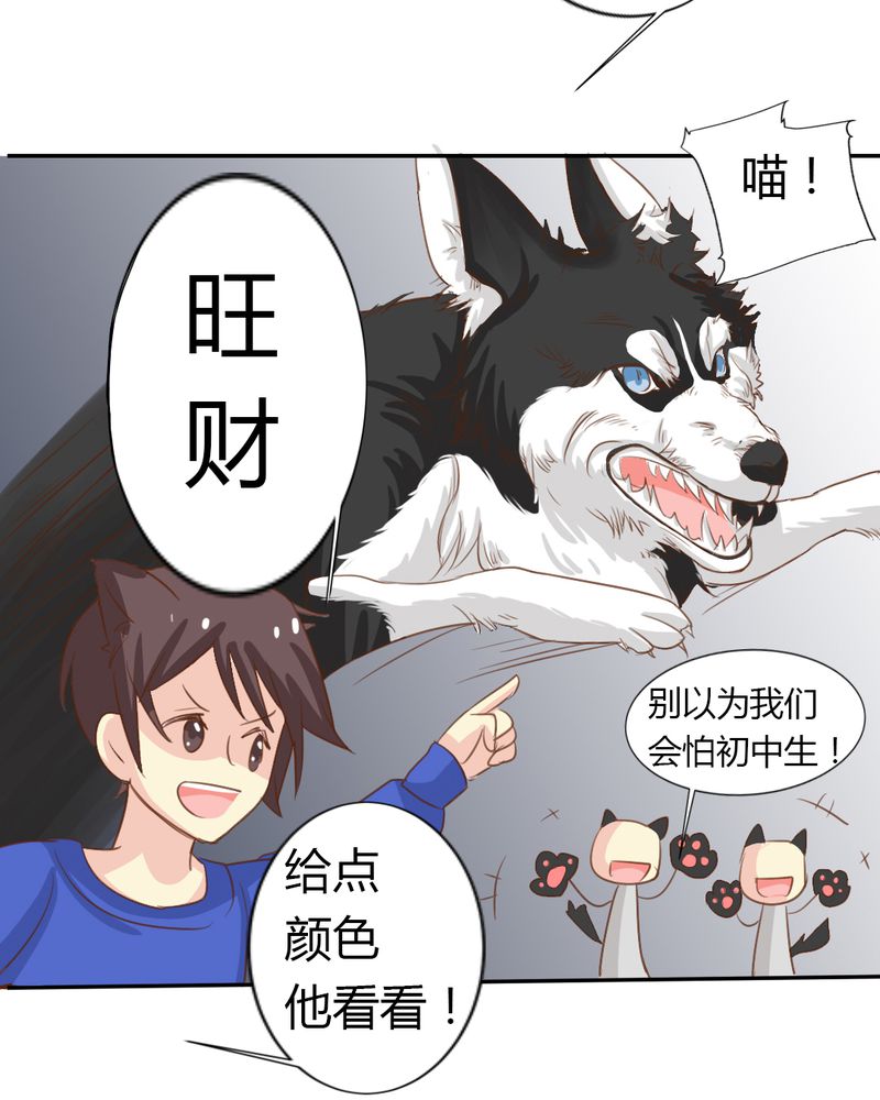 《魔力茉莉的奇幻爱情》漫画最新章节第2章：茉莉的回忆免费下拉式在线观看章节第【15】张图片