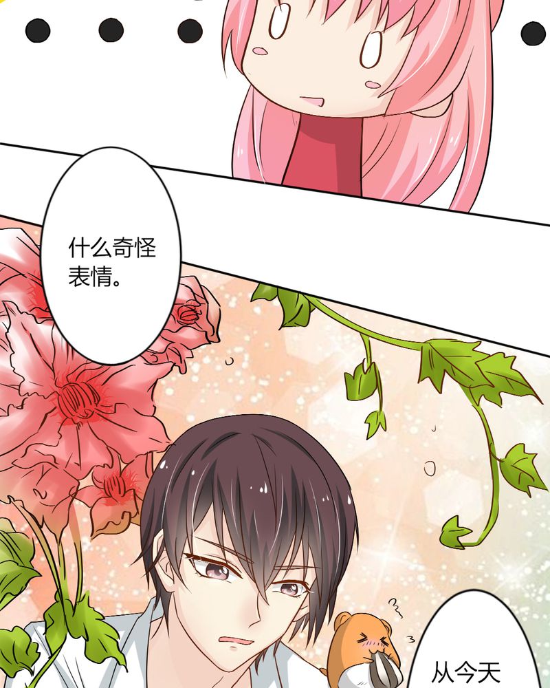 《魔力茉莉的奇幻爱情》漫画最新章节第7章：突然多了个便宜师父免费下拉式在线观看章节第【3】张图片