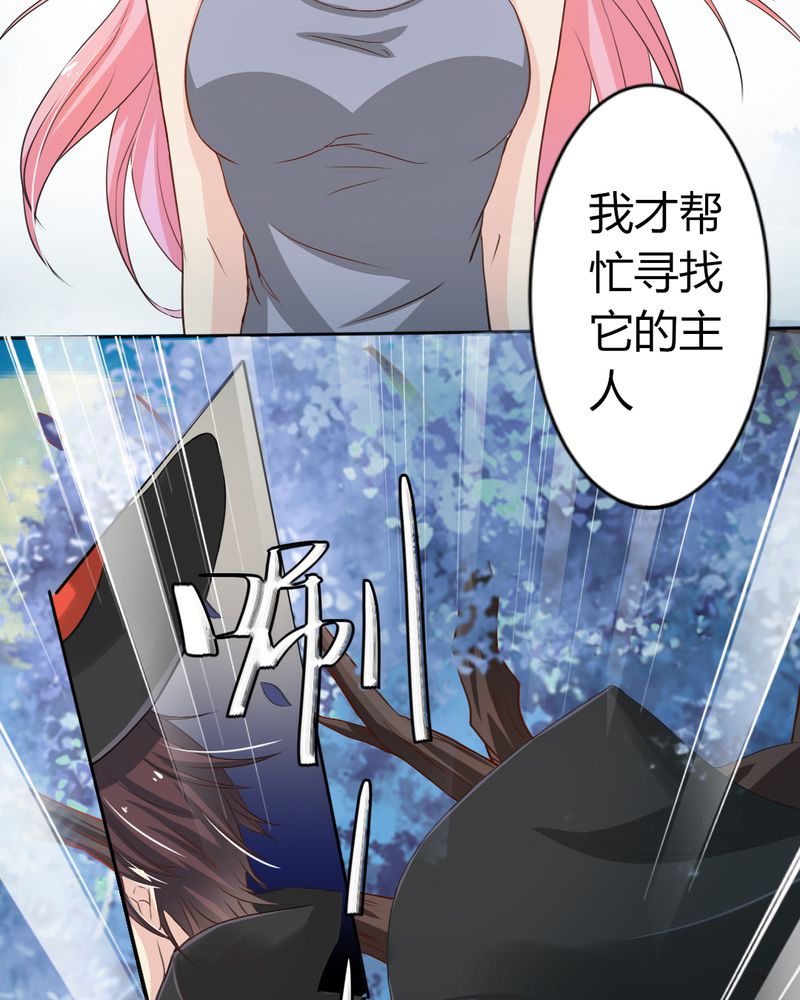 《魔力茉莉的奇幻爱情》漫画最新章节第7章：突然多了个便宜师父免费下拉式在线观看章节第【39】张图片