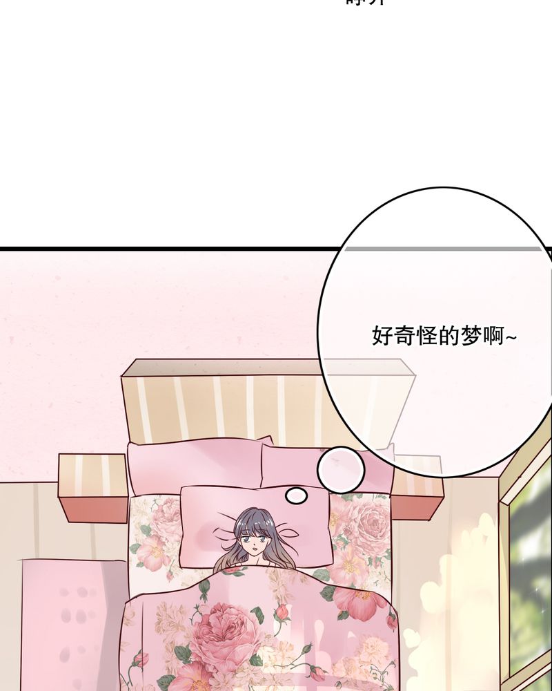 《雨后的盛夏》漫画最新章节第28章：梦境免费下拉式在线观看章节第【19】张图片