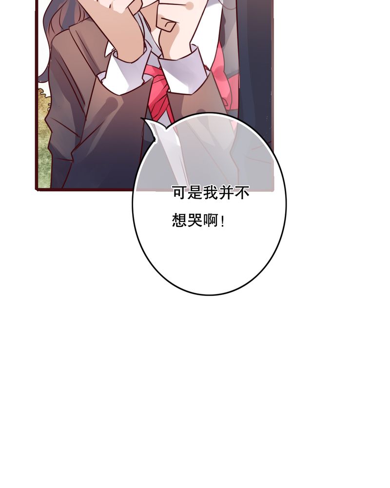 《雨后的盛夏》漫画最新章节第37章：记忆免费下拉式在线观看章节第【7】张图片