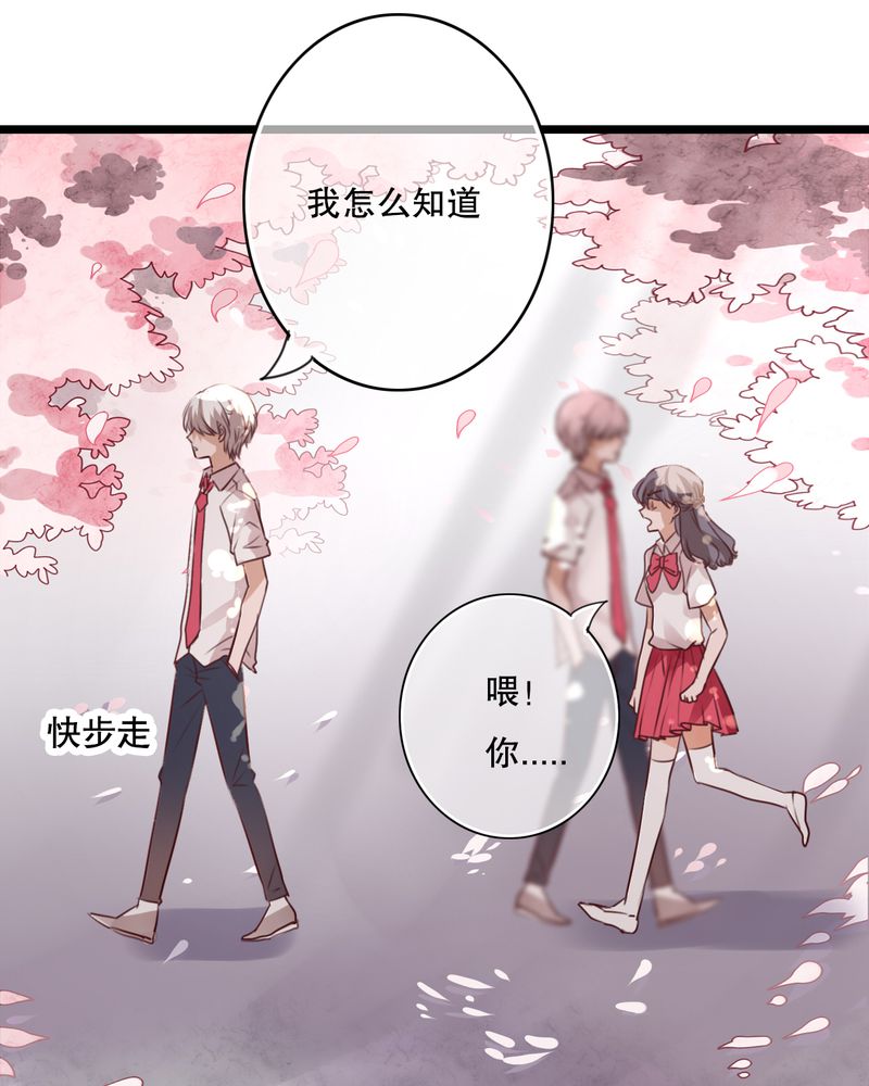 《雨后的盛夏》漫画最新章节第60章：擦肩而过免费下拉式在线观看章节第【13】张图片