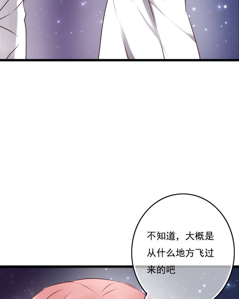 《雨后的盛夏》漫画最新章节第74章：误会免费下拉式在线观看章节第【30】张图片