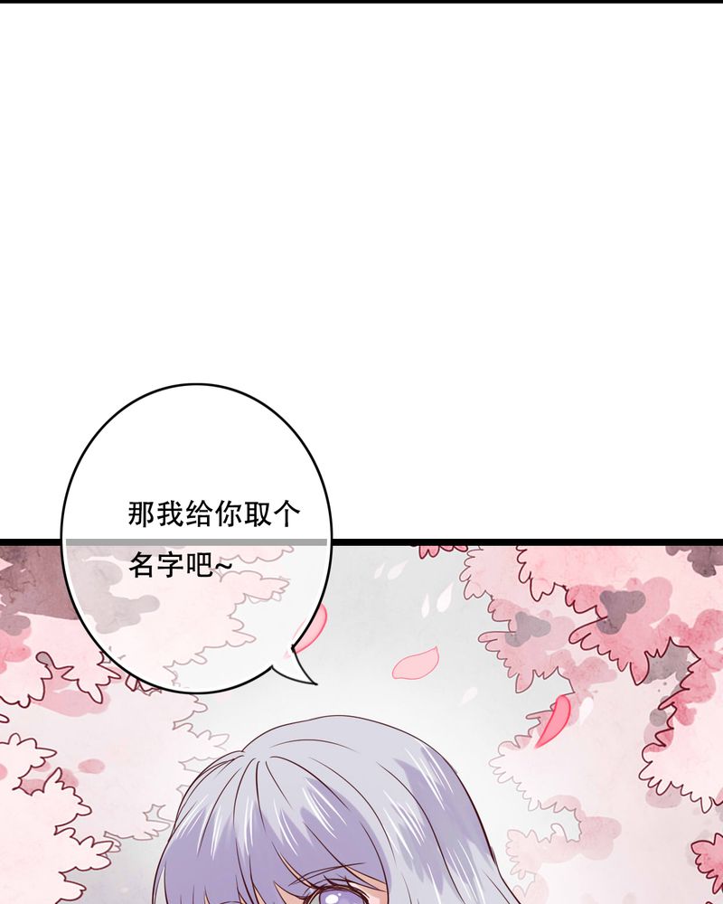 《雨后的盛夏》漫画最新章节第87章：治愈系精灵免费下拉式在线观看章节第【33】张图片