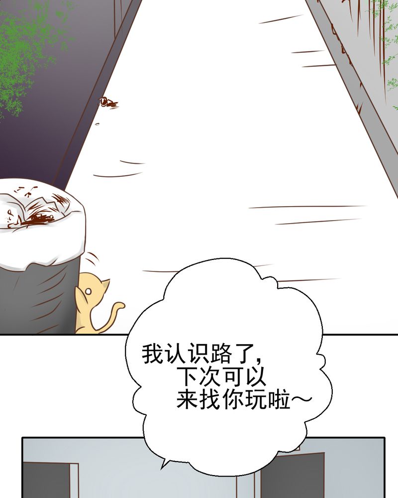 《乖，让我咬一口》漫画最新章节第26章：或许命运，可以改变吧免费下拉式在线观看章节第【30】张图片