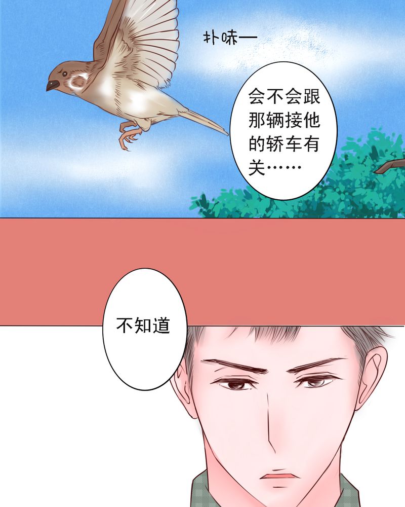 《浮生逸梦》漫画最新章节第27章：即使不喜欢，也轮不到你去说免费下拉式在线观看章节第【17】张图片