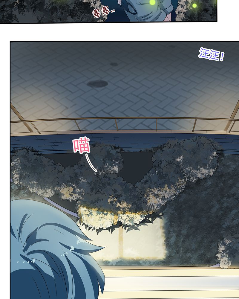 《胖次异闻录Ⅱ》漫画最新章节第9章：免费下拉式在线观看章节第【2】张图片