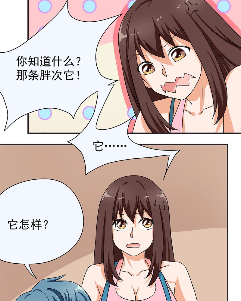 《胖次异闻录Ⅱ》漫画最新章节第11章：免费下拉式在线观看章节第【10】张图片