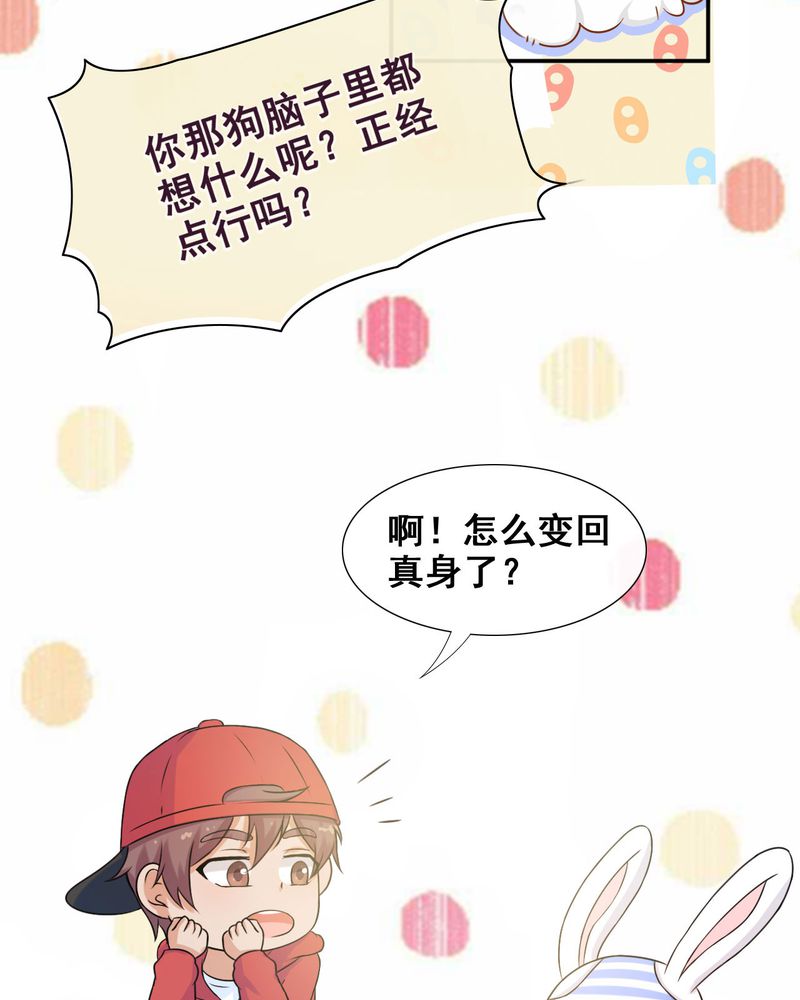 《胖次异闻录Ⅱ》漫画最新章节第26章：免费下拉式在线观看章节第【19】张图片