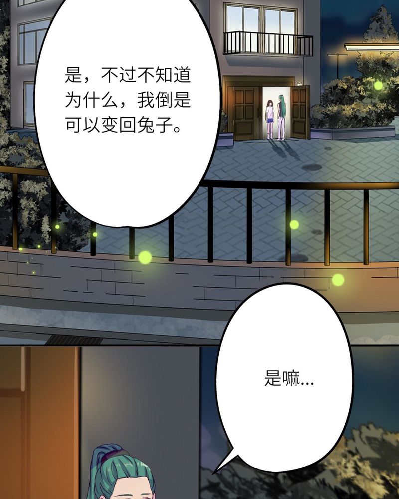 《胖次异闻录Ⅱ》漫画最新章节第37章：免费下拉式在线观看章节第【8】张图片