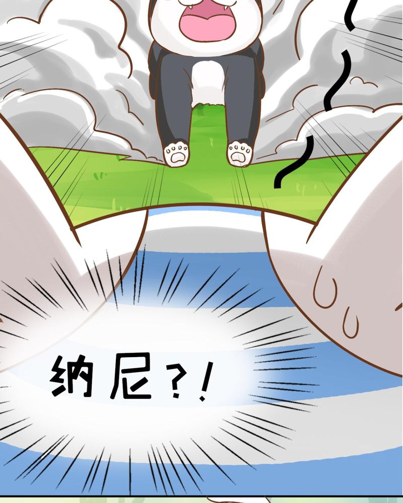 《胖次异闻录Ⅱ》漫画最新章节第38章：免费下拉式在线观看章节第【29】张图片