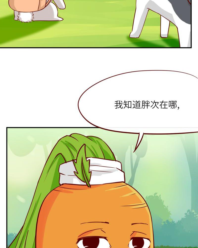 《胖次异闻录Ⅱ》漫画最新章节第39章：免费下拉式在线观看章节第【16】张图片