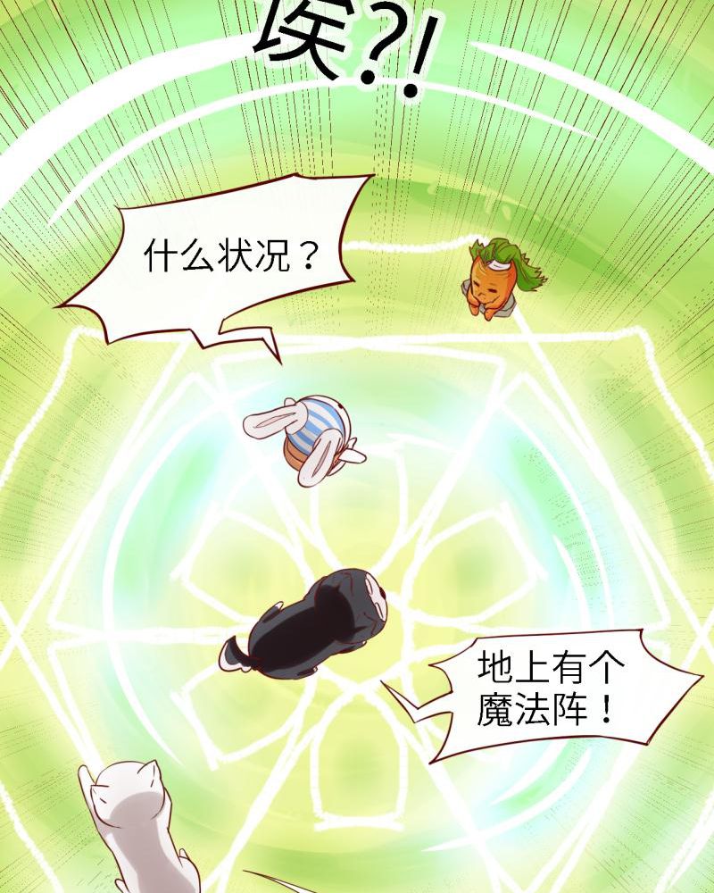 《胖次异闻录Ⅱ》漫画最新章节第39章：免费下拉式在线观看章节第【11】张图片