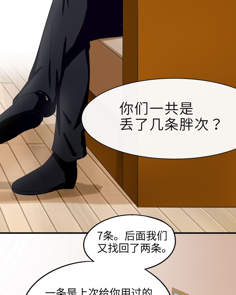 《胖次异闻录Ⅱ》漫画最新章节第43章：免费下拉式在线观看章节第【25】张图片