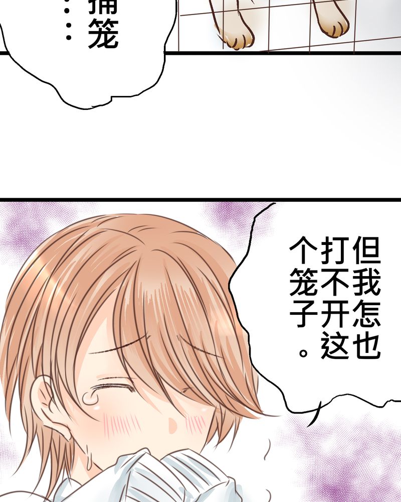 《逗腐教室》漫画最新章节第18章：名为【感情】的花蕾免费下拉式在线观看章节第【33】张图片