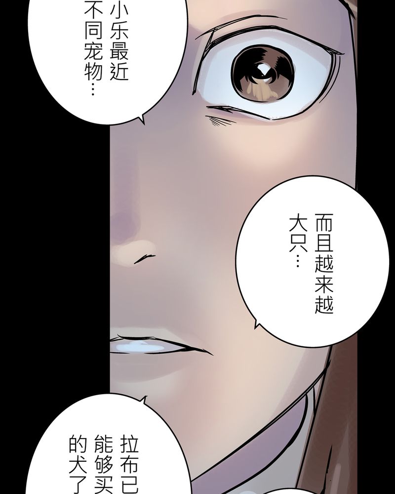 《怪谈鸟》漫画最新章节第19章：化煞咒#4免费下拉式在线观看章节第【21】张图片