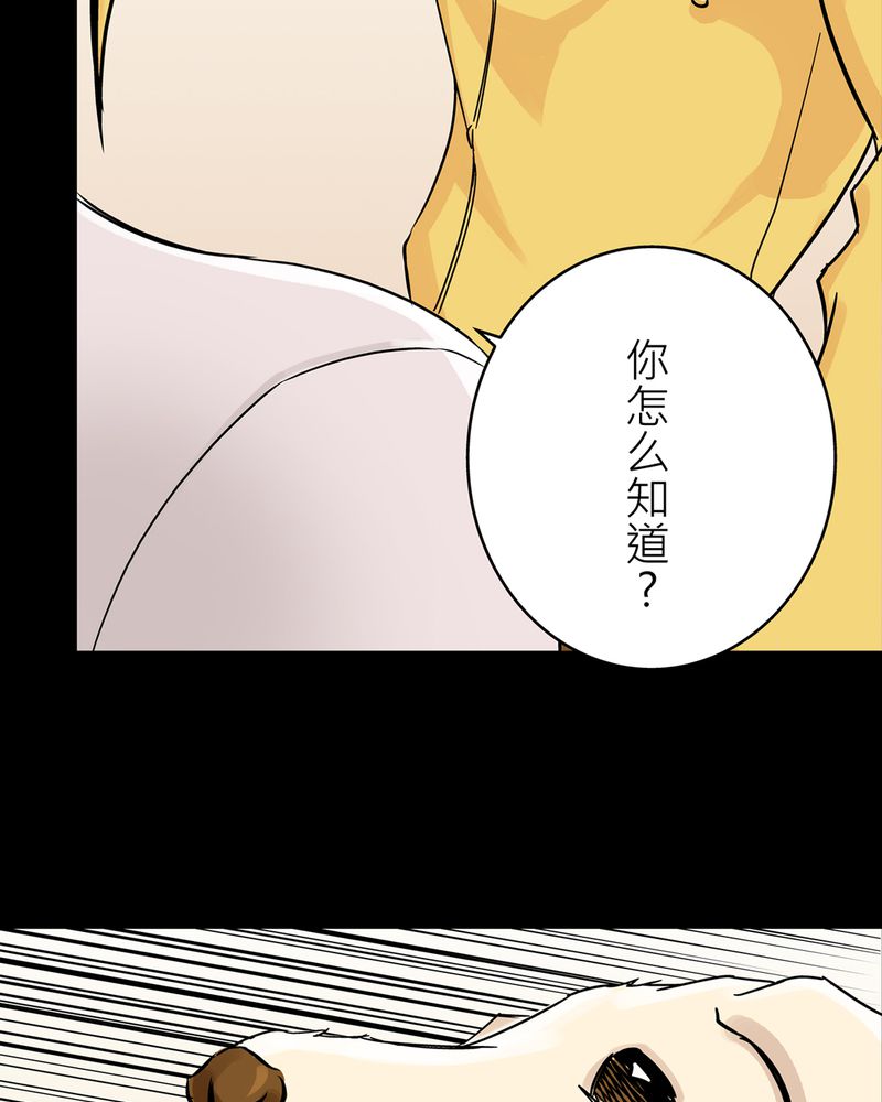 《怪谈鸟》漫画最新章节第19章：化煞咒#4免费下拉式在线观看章节第【2】张图片