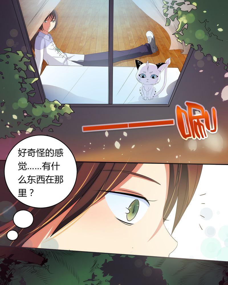 《异卷风华录》漫画最新章节第1章：缘起之日免费下拉式在线观看章节第【14】张图片