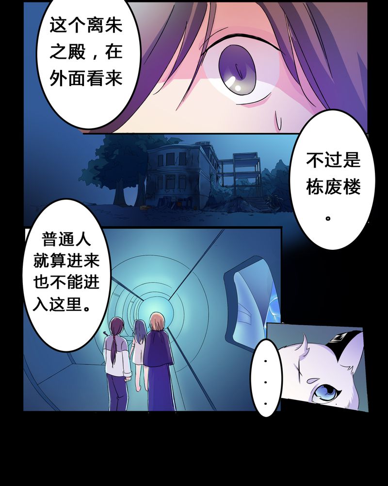 《异卷风华录》漫画最新章节第4章：离朱之殿免费下拉式在线观看章节第【28】张图片