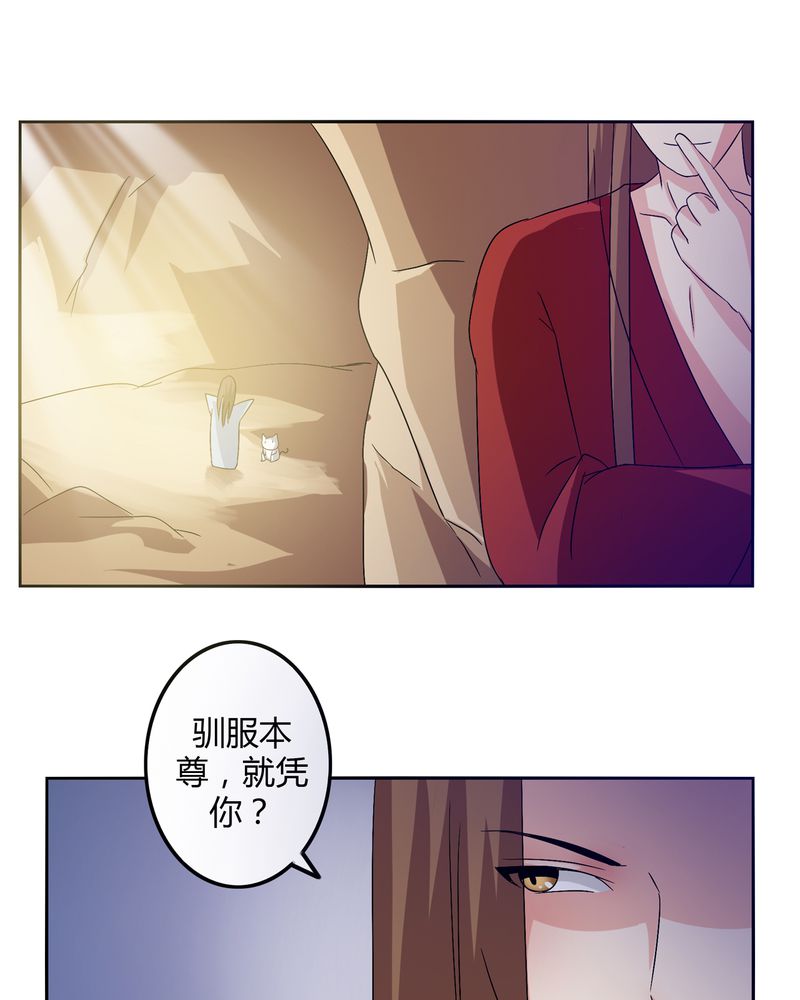 《异卷风华录》漫画最新章节第45章：驯服四九免费下拉式在线观看章节第【1】张图片