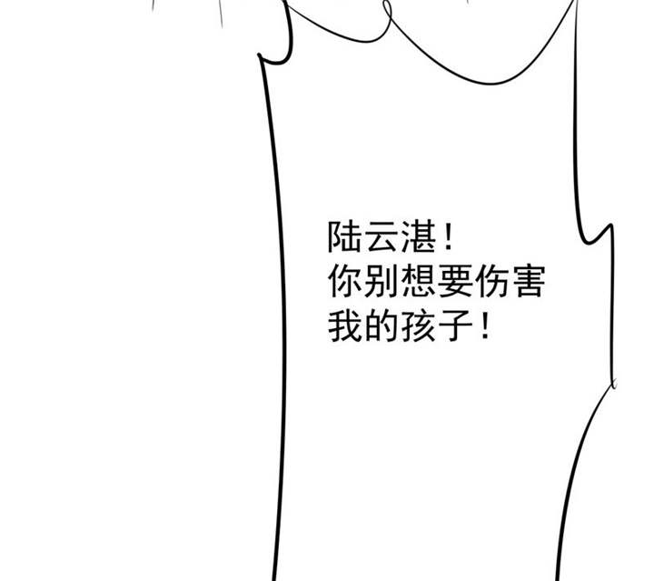 《如果从没爱过你》漫画最新章节第83章：言之晴拜访免费下拉式在线观看章节第【53】张图片