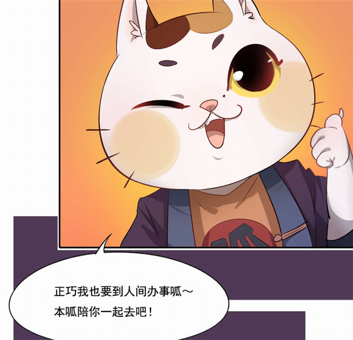 《倒数七天》漫画最新章节第46章：致敬英雄免费下拉式在线观看章节第【71】张图片