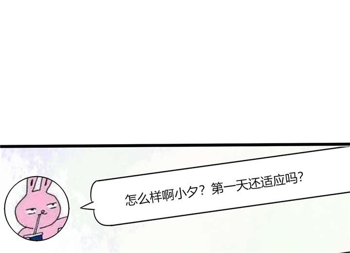 《总裁X宅女》漫画最新章节第11章：这些事情要牢记哦免费下拉式在线观看章节第【14】张图片