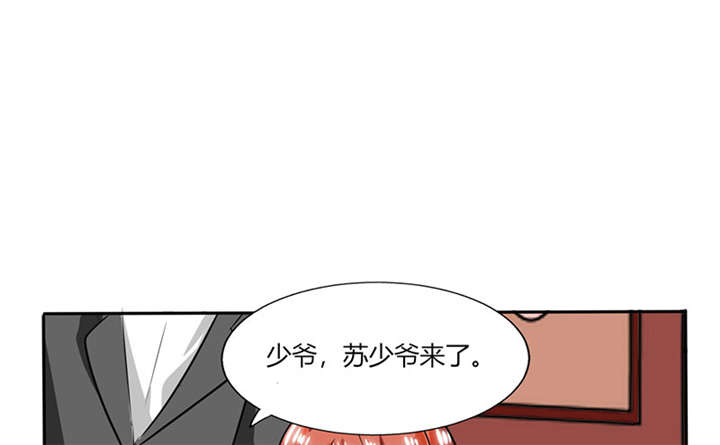 《总裁X宅女》漫画最新章节第19章：苏先生的过往免费下拉式在线观看章节第【36】张图片