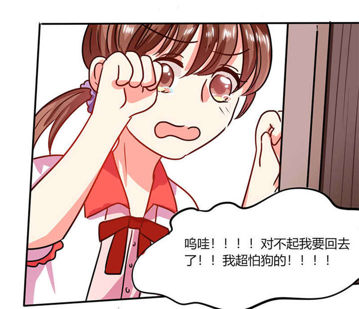 《总裁X宅女》漫画最新章节第26章：番外三：你的名字是……免费下拉式在线观看章节第【14】张图片