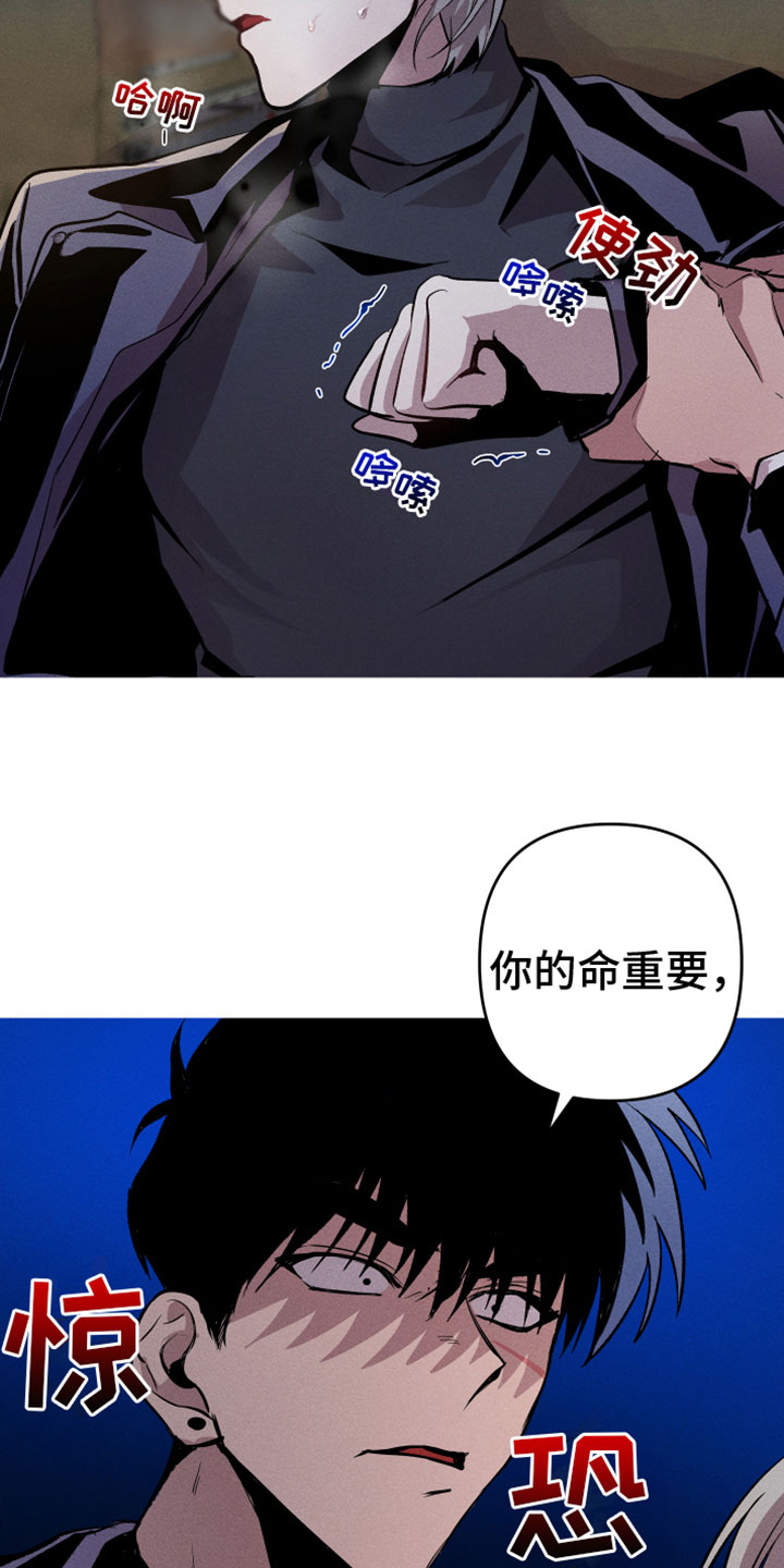 《相杀》漫画最新章节第5章：去这里免费下拉式在线观看章节第【12】张图片