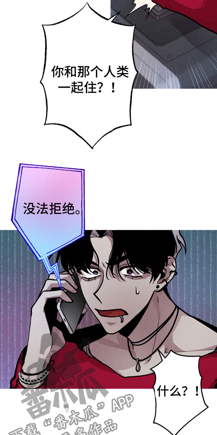 《相杀》漫画最新章节第11章：打电话免费下拉式在线观看章节第【10】张图片