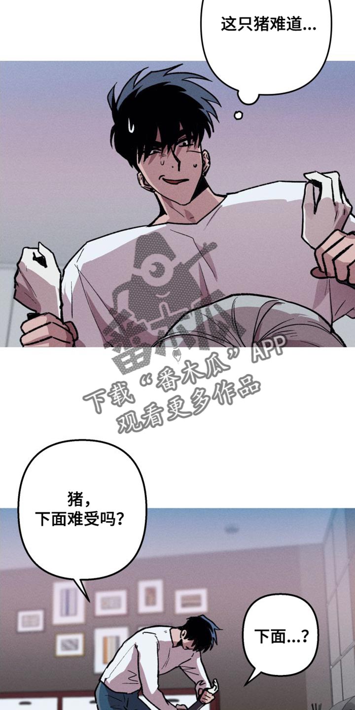 《相杀》漫画最新章节第20章：最棒的方法免费下拉式在线观看章节第【11】张图片