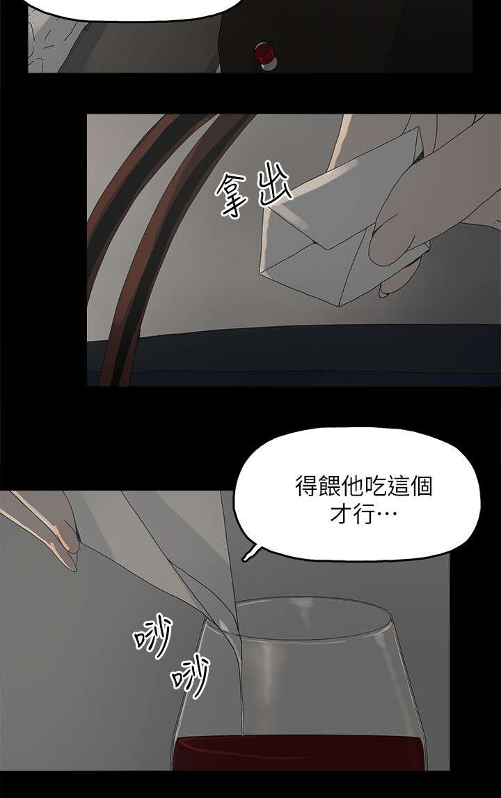 《妻子的替身》漫画最新章节第66章：得手免费下拉式在线观看章节第【19】张图片