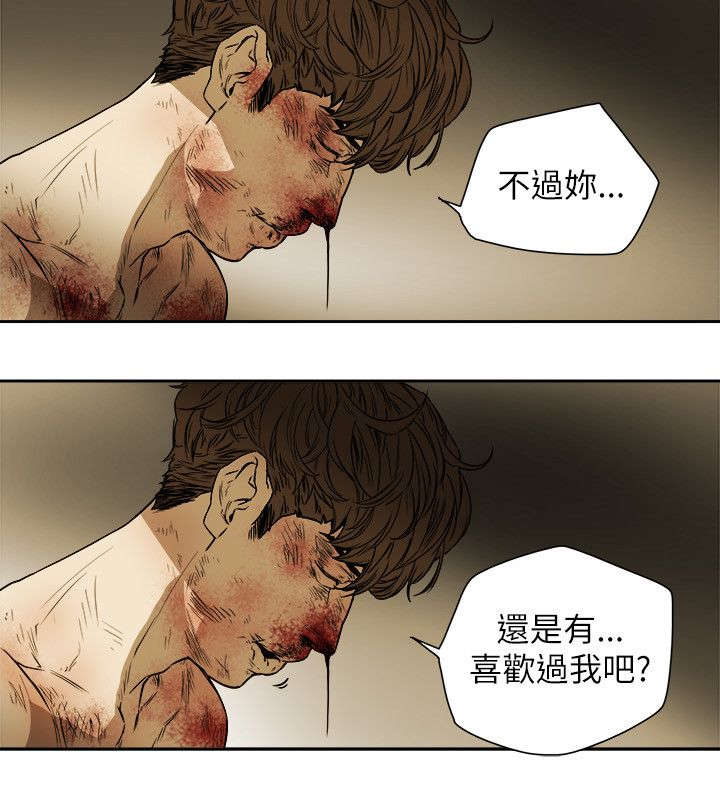 《温柔的骗局》漫画最新章节第90章：打击免费下拉式在线观看章节第【9】张图片