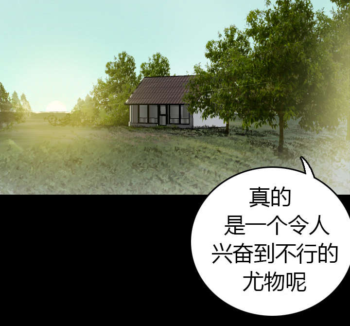 《复仇之岛》漫画最新章节第13章：绝望与寄托免费下拉式在线观看章节第【36】张图片