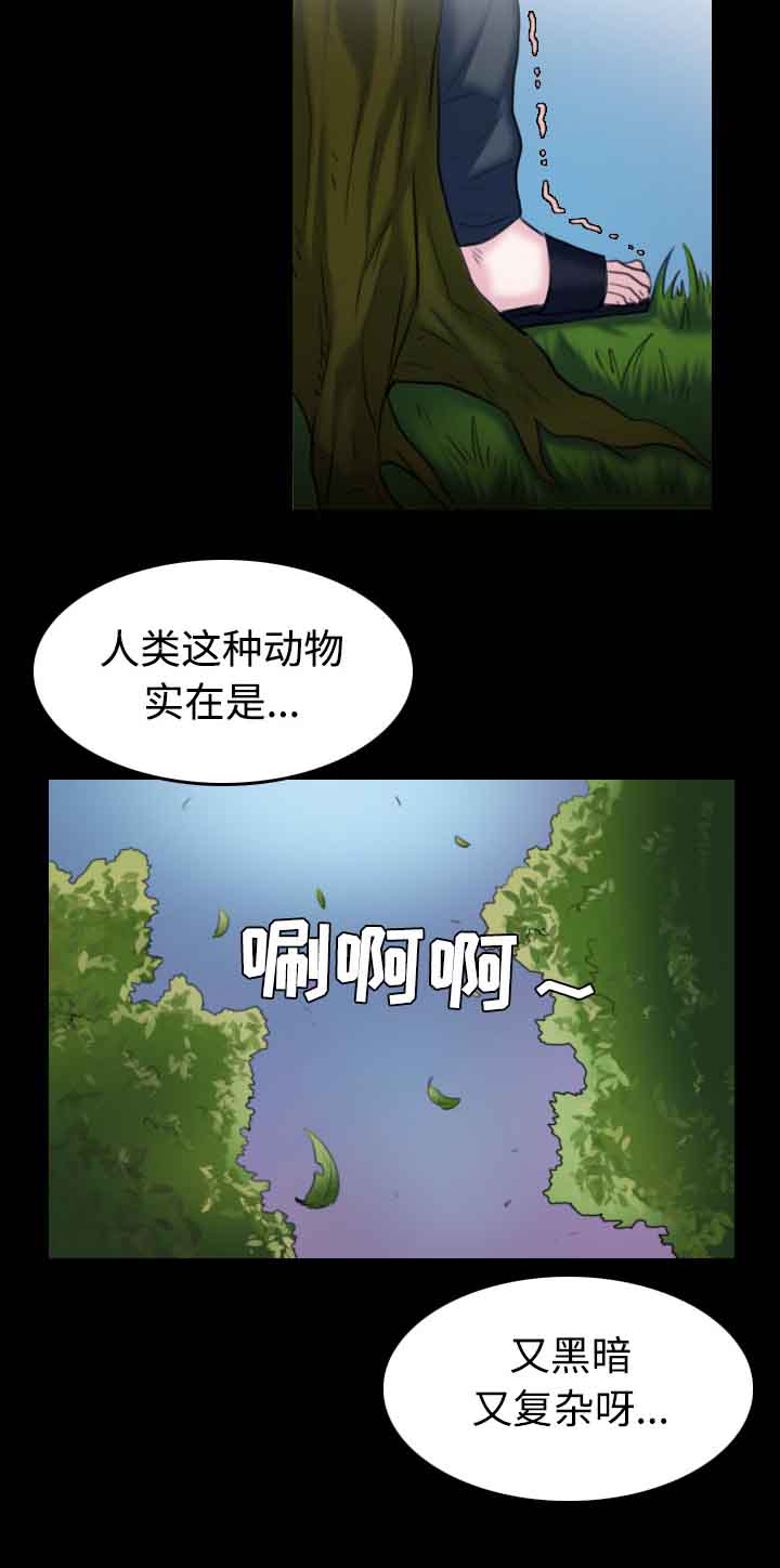 复仇之岛-第53章：为了复仇全彩韩漫标签