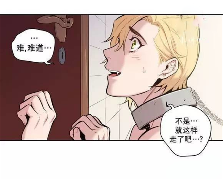 《圣杯》漫画最新章节第19章：我不喜欢这样免费下拉式在线观看章节第【4】张图片